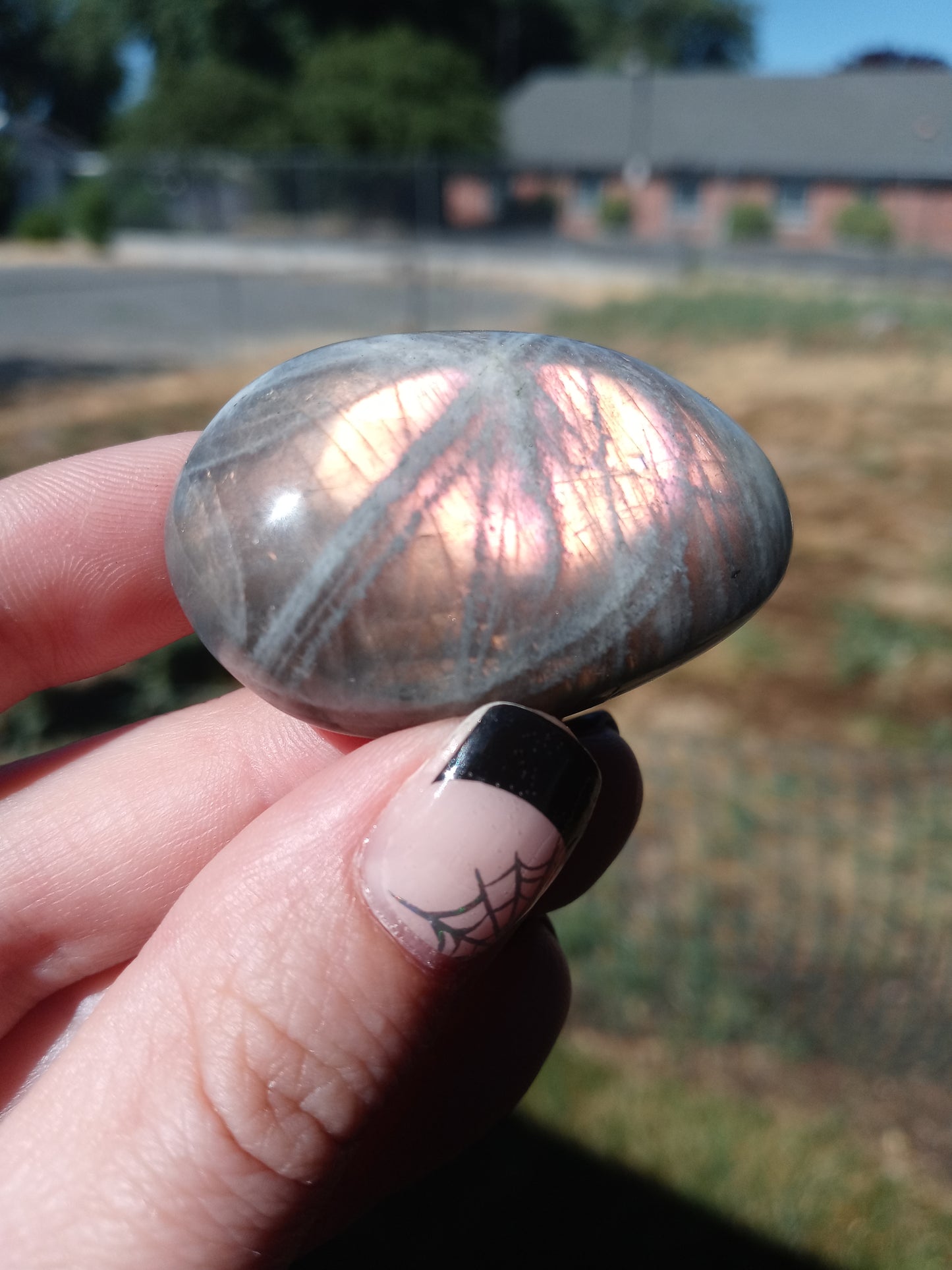 Labradorite Palm Stones