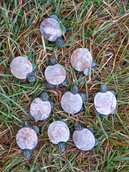 Sakura Flower Agate Turtles