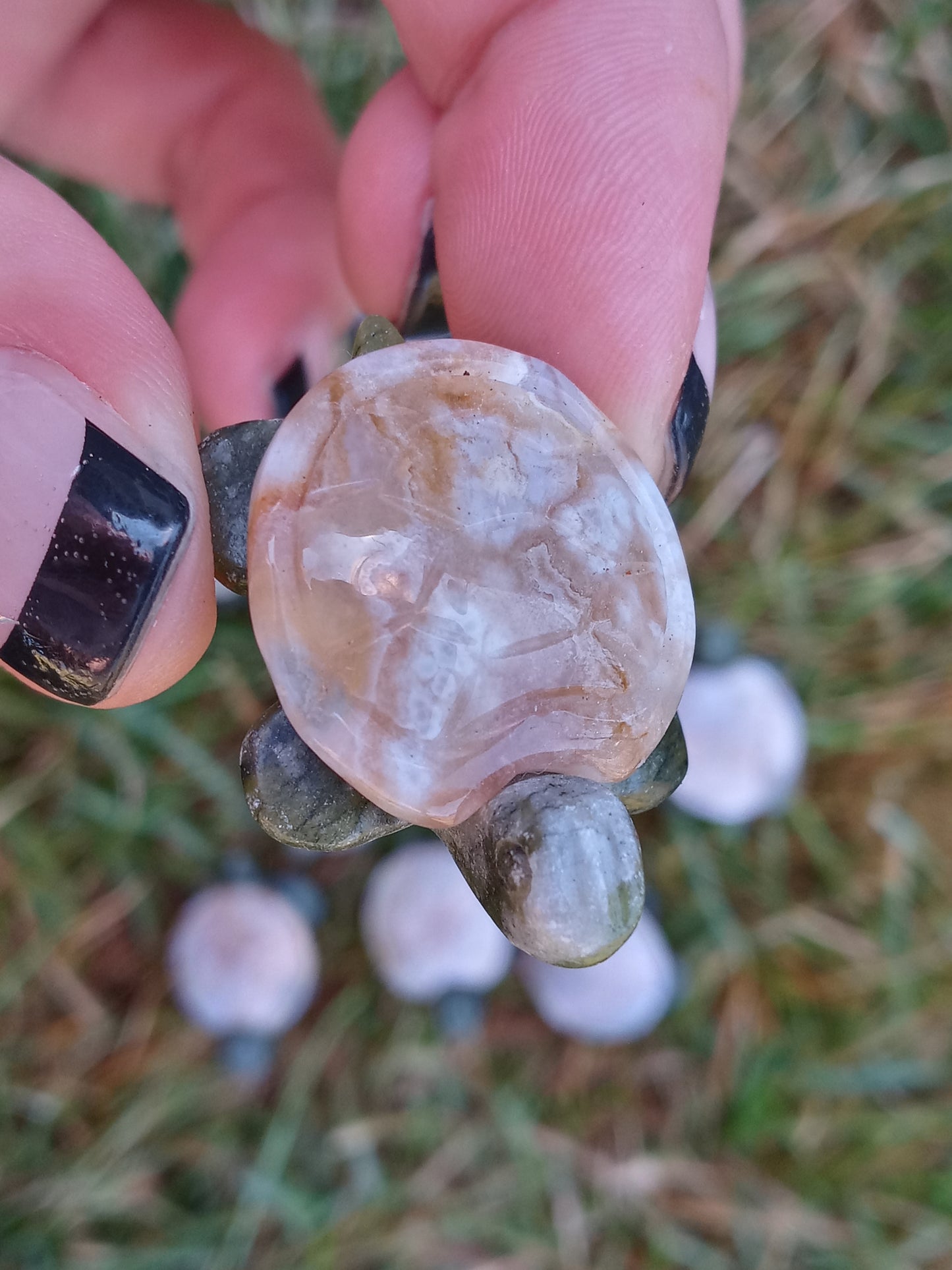 Sakura Flower Agate Turtles