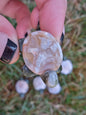 Sakura Flower Agate Turtles