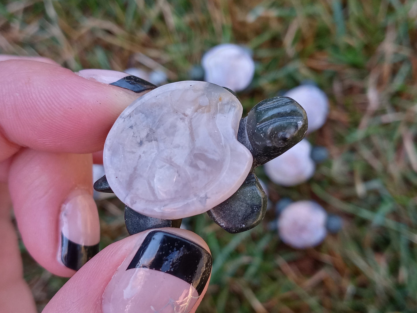 Sakura Flower Agate Turtles