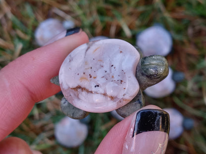 Sakura Flower Agate Turtles