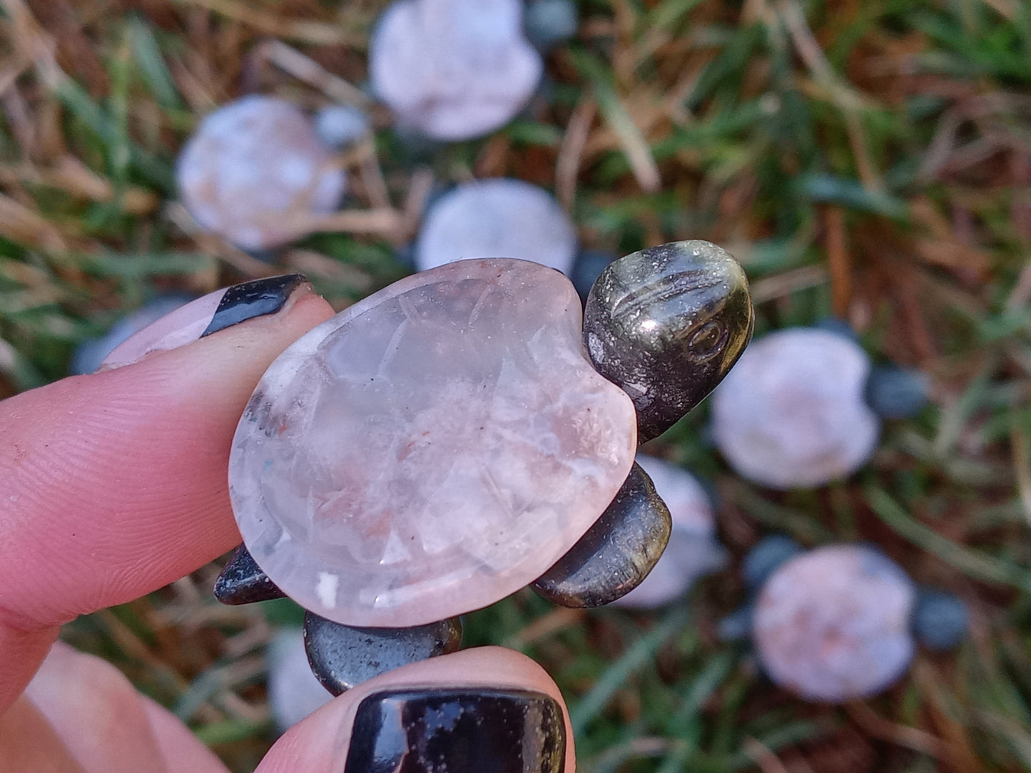 Sakura Flower Agate Turtles